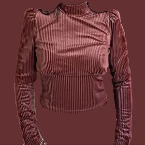 Forever 21 cropped turtle neck sweater. Feels like velvet.